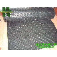 溫州HDPE排水板浙江專業排水板廠家直銷