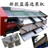 皮帶篩網(wǎng)式藍(lán)莓分級(jí)機(jī)