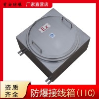 防爆接線箱 防爆防腐接線箱 增安型防爆撓性管防爆配電箱