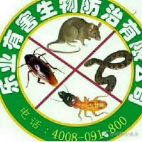 佛山抓蛇公司 佛山捕蛇公司 佛山驅蛇公司 佛山防蛇公司找樂業