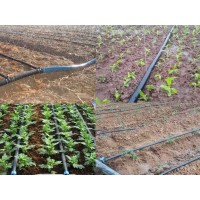 滴灌配件廠家_河北果肉多農業科技有限公司