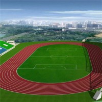 學(xué)校足球場草坪 操場地面足球場草坪